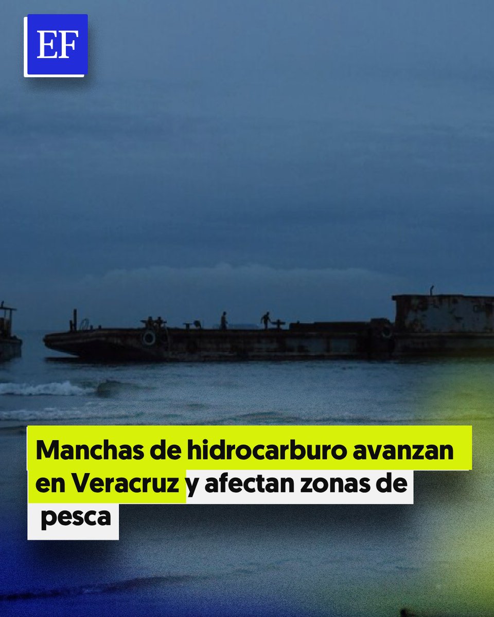 El Financiero tweet media