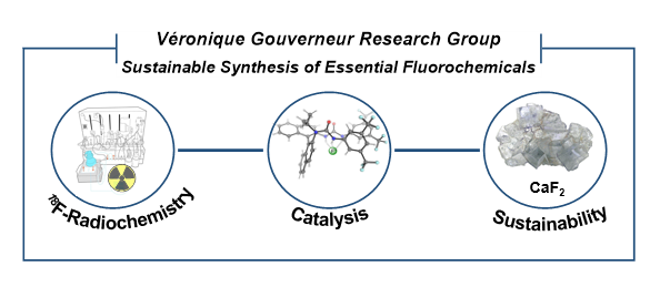 Gouverneur Group tweet media
