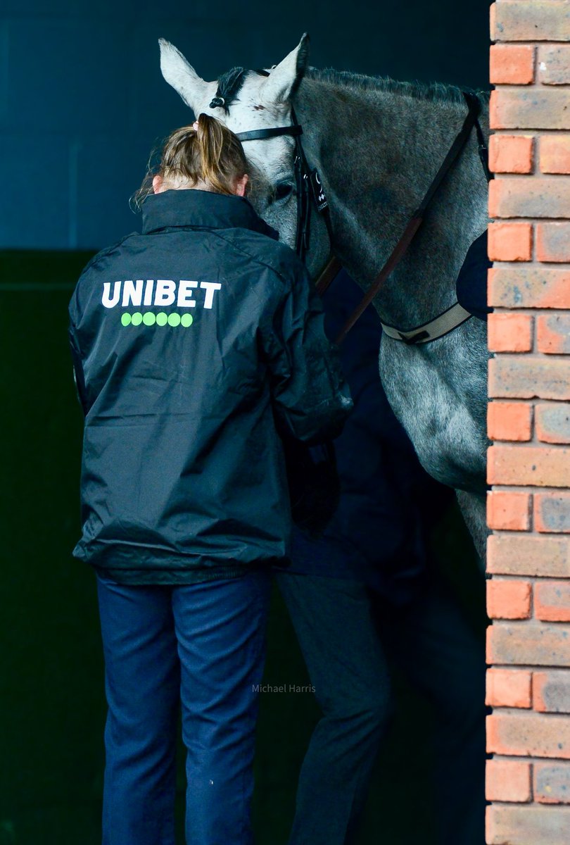 Michael Harris tweet media