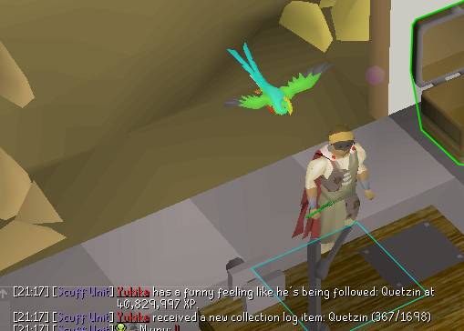 PaddyRS07's tweet photo. Pet #14

 Quetzin - 970 rumours https://t.co/KQKWly8L0t