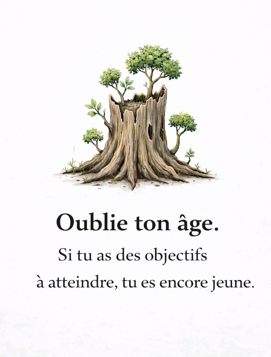 Le Stoïcien📍 tweet media