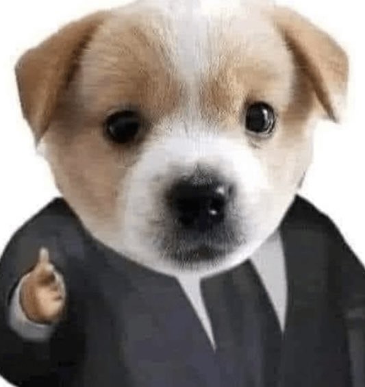 LauraaTula tweet media