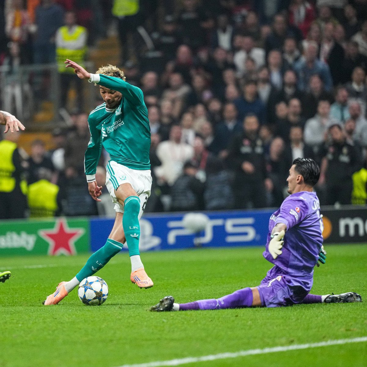 ultrAslan tweet media