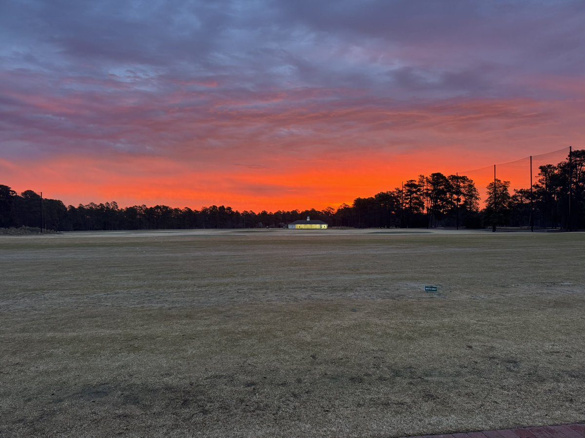 Brent🌵🏴‍☠️ tweet media