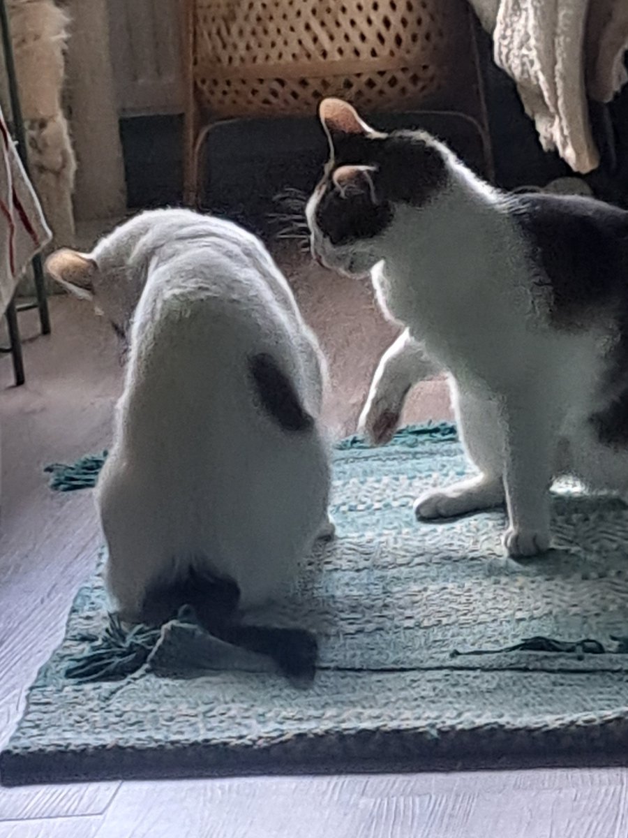 Bucket Hat Cat | Wishlist Talewarden on Steam! tweet media