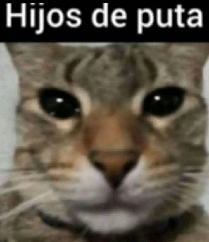 SpardaX_'s tweet photo. @Fortnite_ES Tio Epic si subiran los precios minimo q se les pueda encuerar a las skins, para eso mejor nadota ya q todo lo estan poniendo re caro https://t.co/6r7IGv1Hfu