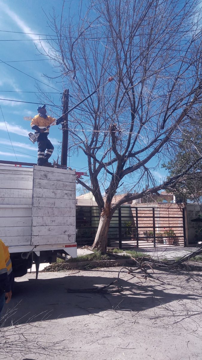durangos21's tweet photo. Fuertes Rachas de Viento Han Derribado Ocho Árboles; Personal Municipal Labora en Retiro
#Durango 

Información completa en el link https://t.co/Wyn16SQP8e