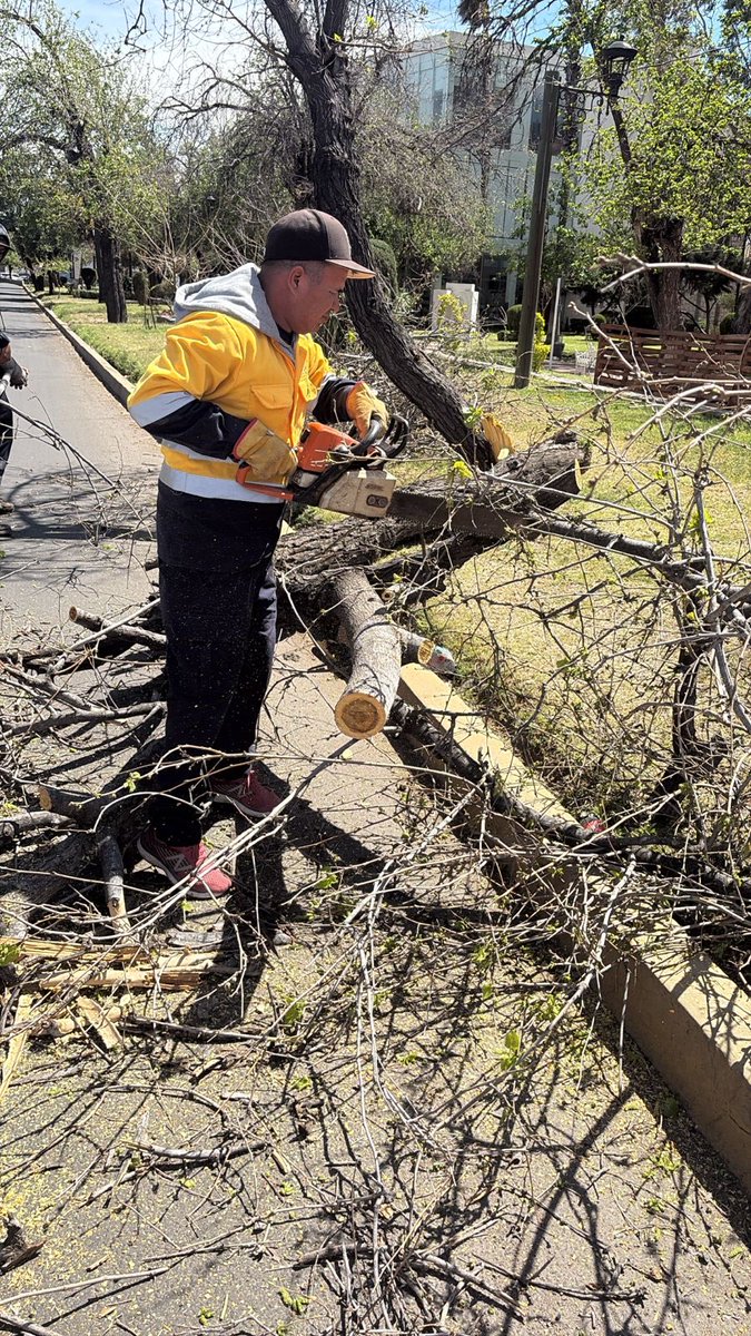durangos21's tweet photo. Fuertes Rachas de Viento Han Derribado Ocho Árboles; Personal Municipal Labora en Retiro
#Durango 

Información completa en el link https://t.co/Wyn16SQP8e