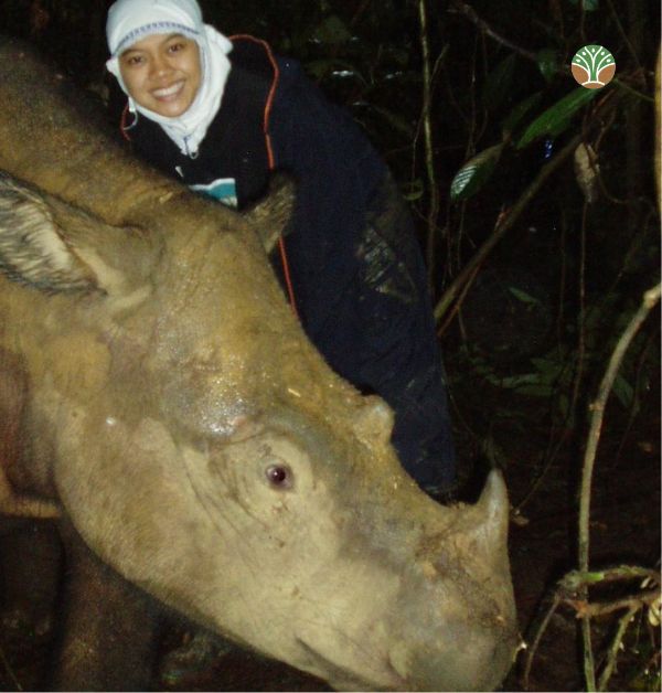 RhinosIRF's tweet photo. Meet Dr. Nia Khairani—a veterinarian, leader and mother who spends her days in the dense rainforests of Indonesia securing a future for the critically endangered Javan rhino.
https://t.co/CJpfKQEzT0 

Image of Sumatran rhino courtesy of the Indonesian Ministry of Forestry https://t.co/YDcdQUiZc8