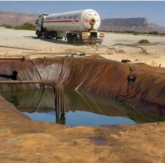 نور سالم السيباني tweet media