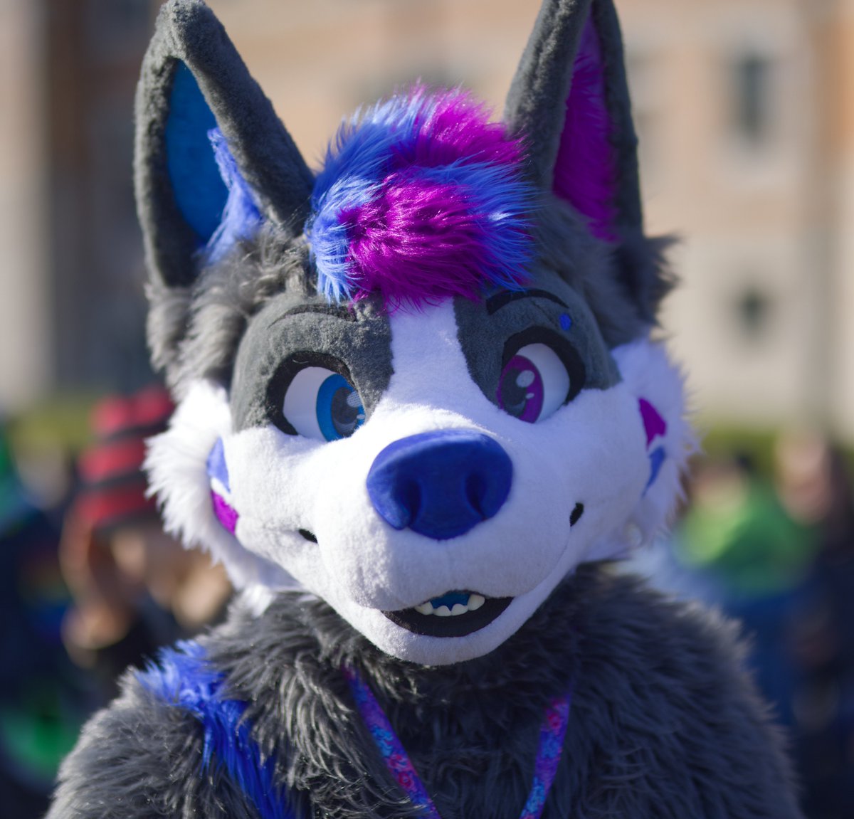 Nabi Wolfy 💙💜 🔜 FWA tweet media