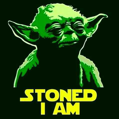HashStashCo's tweet photo. Watching Star Wars ⬆️ af like… Yoda, pass me the 🥖, I need the force and he respond: https://t.co/hwyb5bFt6X