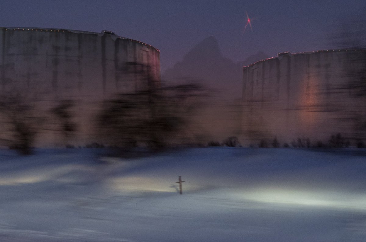 Cowboy the Terrible tweet media