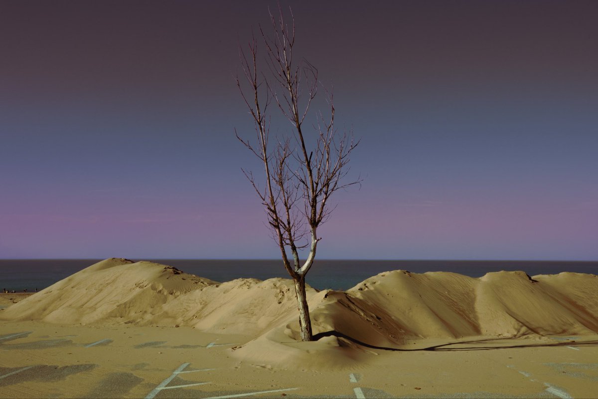 Cowboy the Terrible tweet media