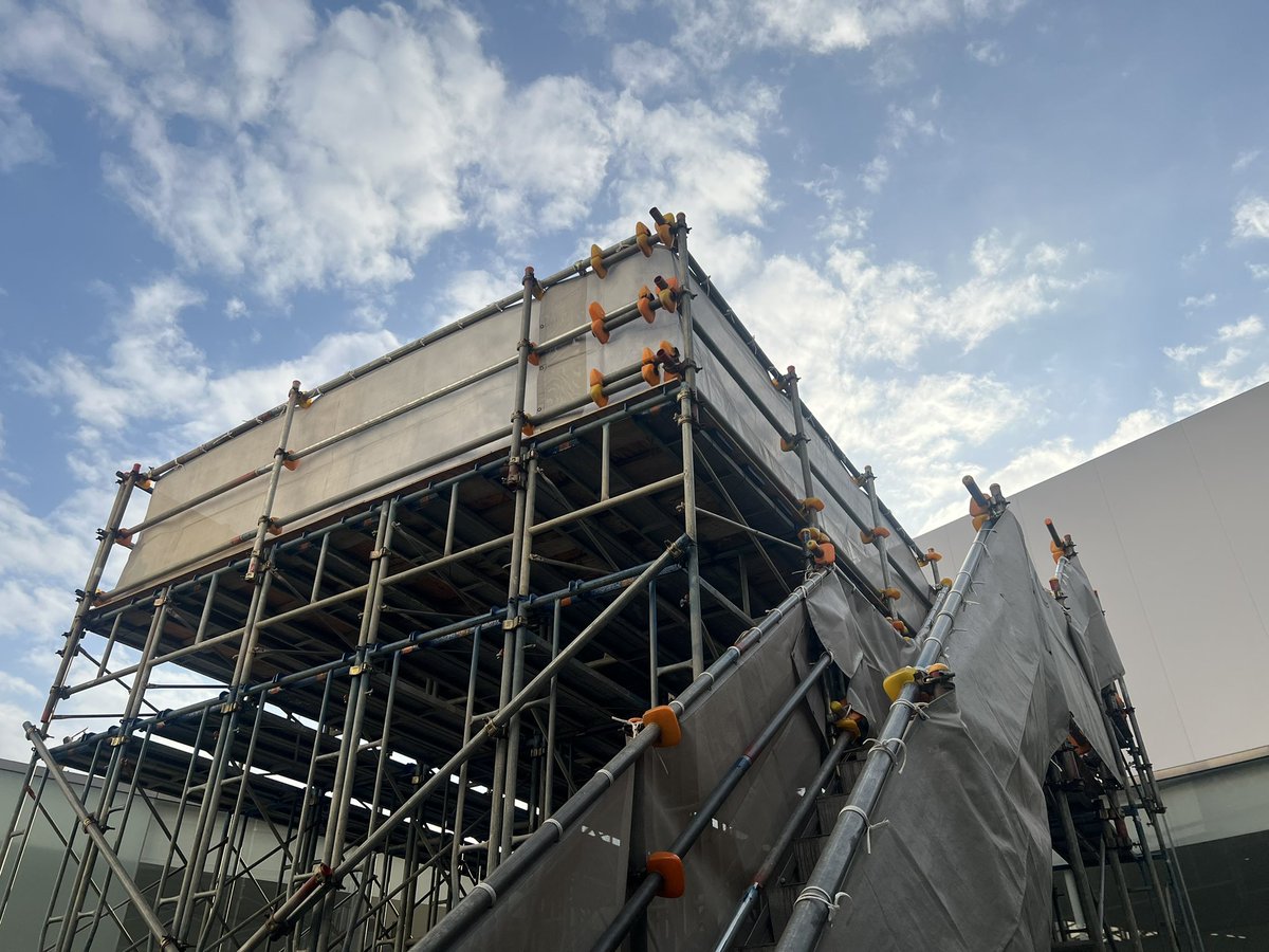 tomoko shimizu tweet media