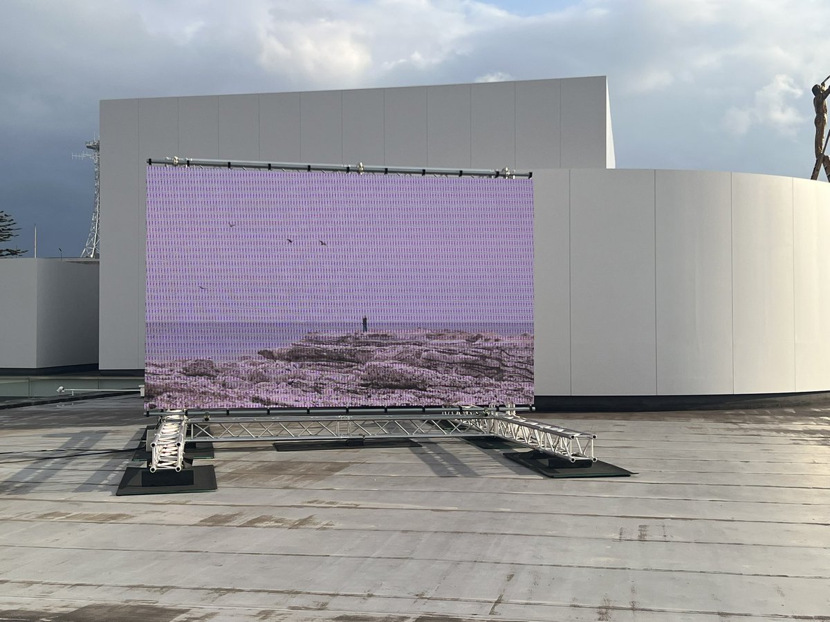 tomoko shimizu tweet media