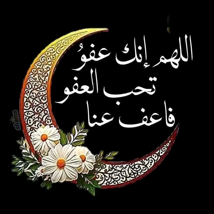 wazakir1's tweet photo. اللهم انك عفو تحب العفو فاعف عنا 
#ليل https://t.co/tsMgIrXZC5