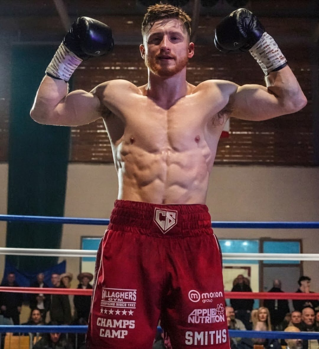 MatureBoxer tweet media