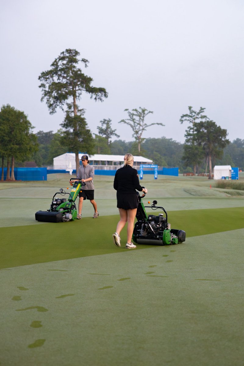 Alex McNeill tweet media