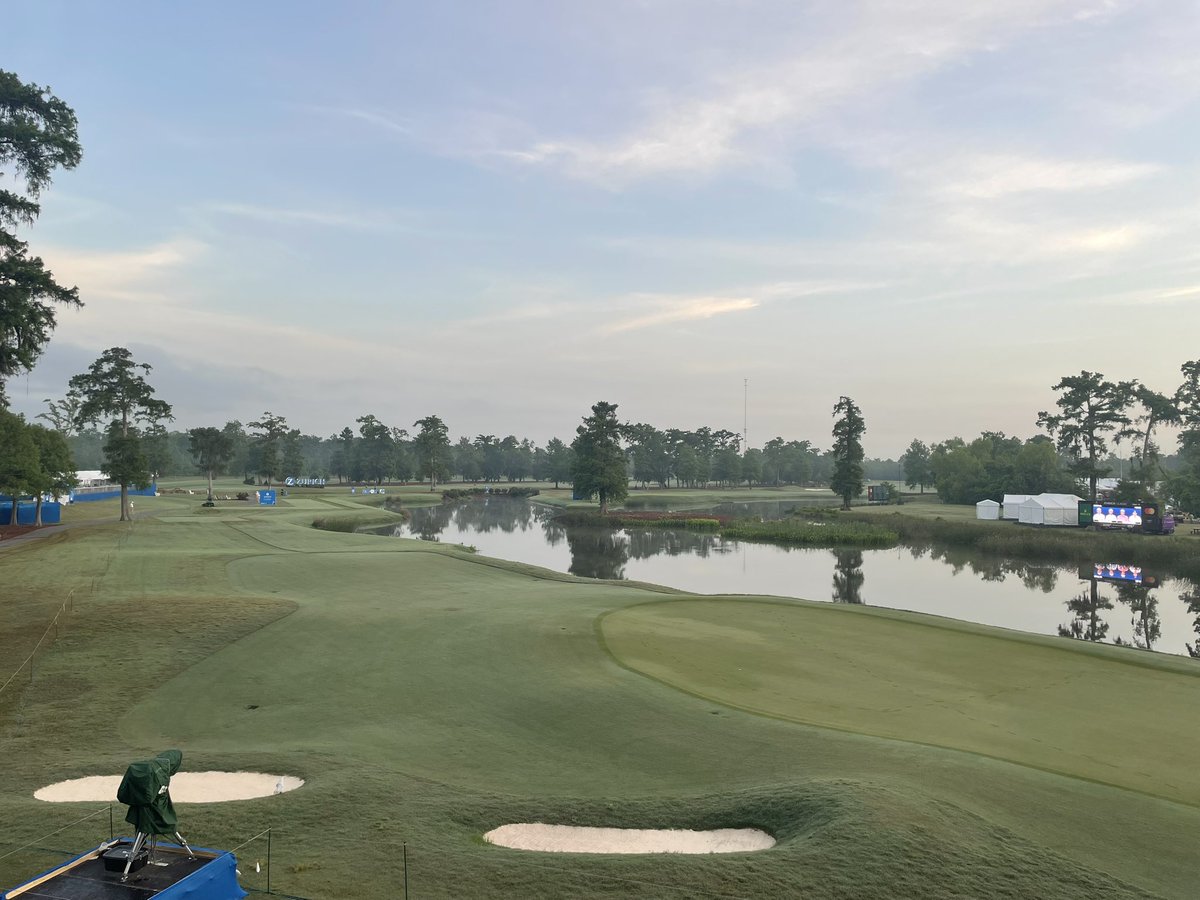 Alex McNeill tweet media