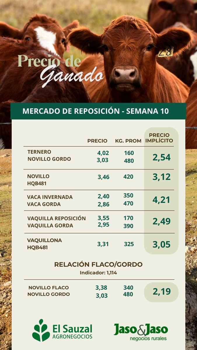 El Sauzal Agronegocios tweet media