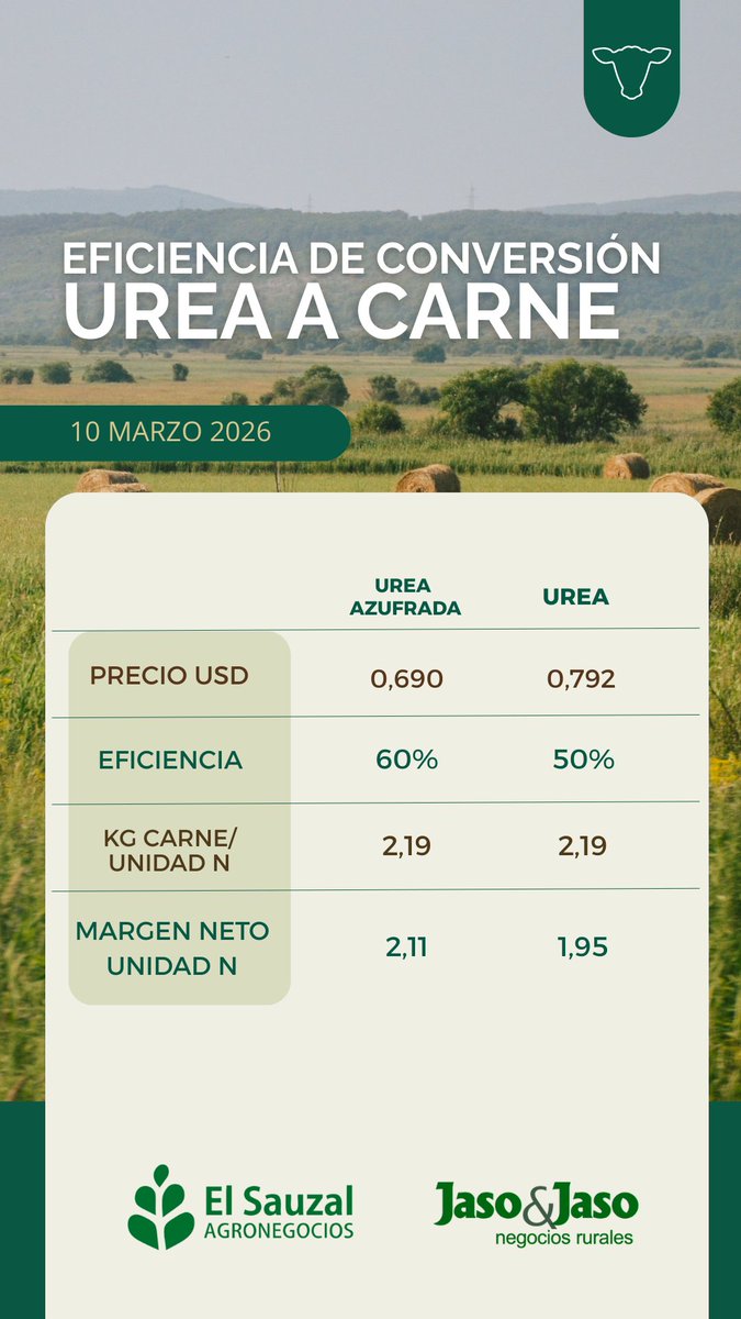 El Sauzal Agronegocios tweet media