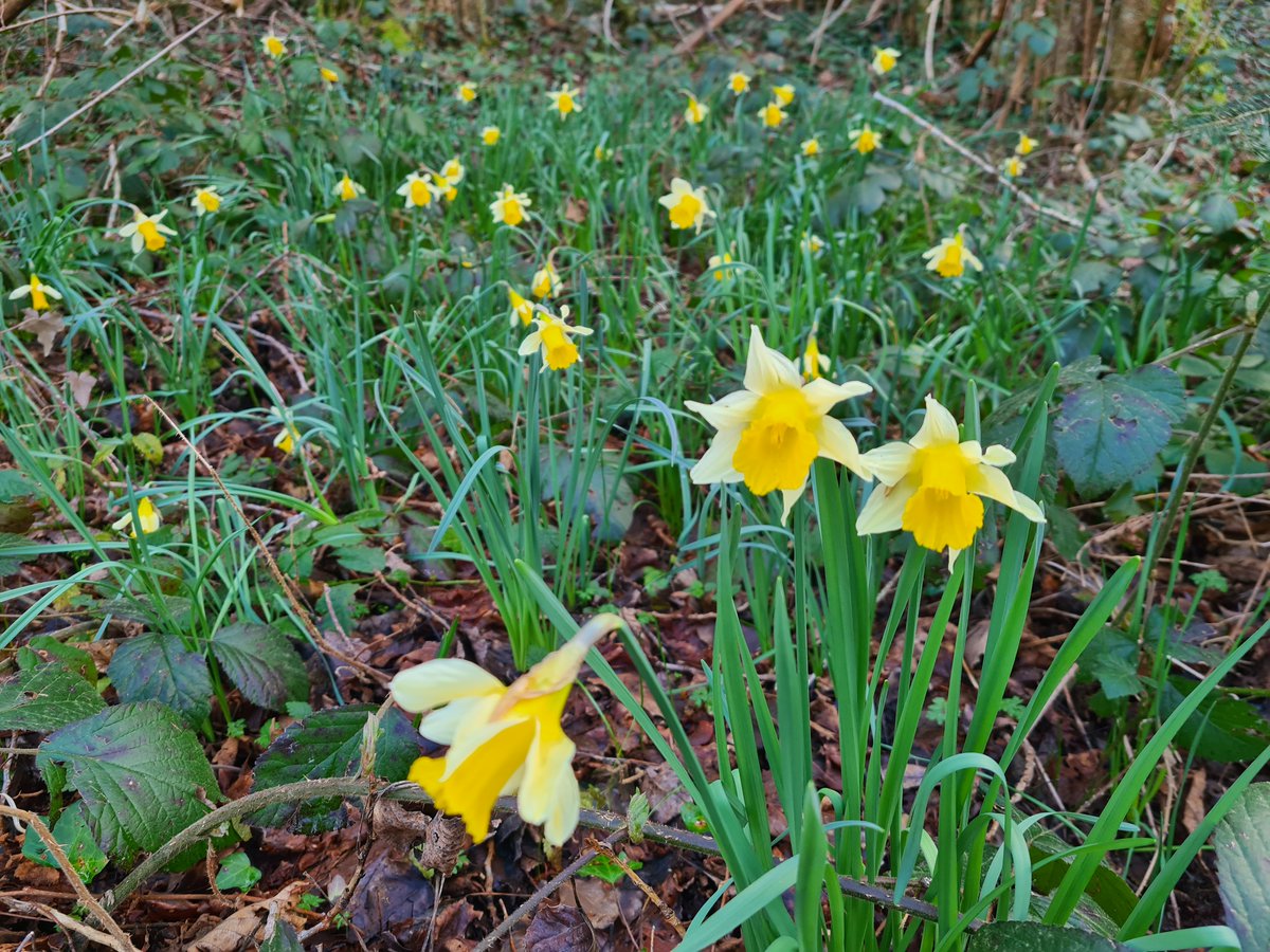 Anita van Leyden tweet media