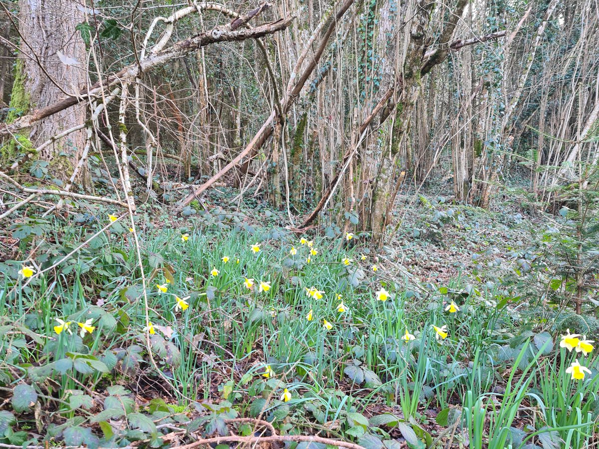 Anita van Leyden tweet media