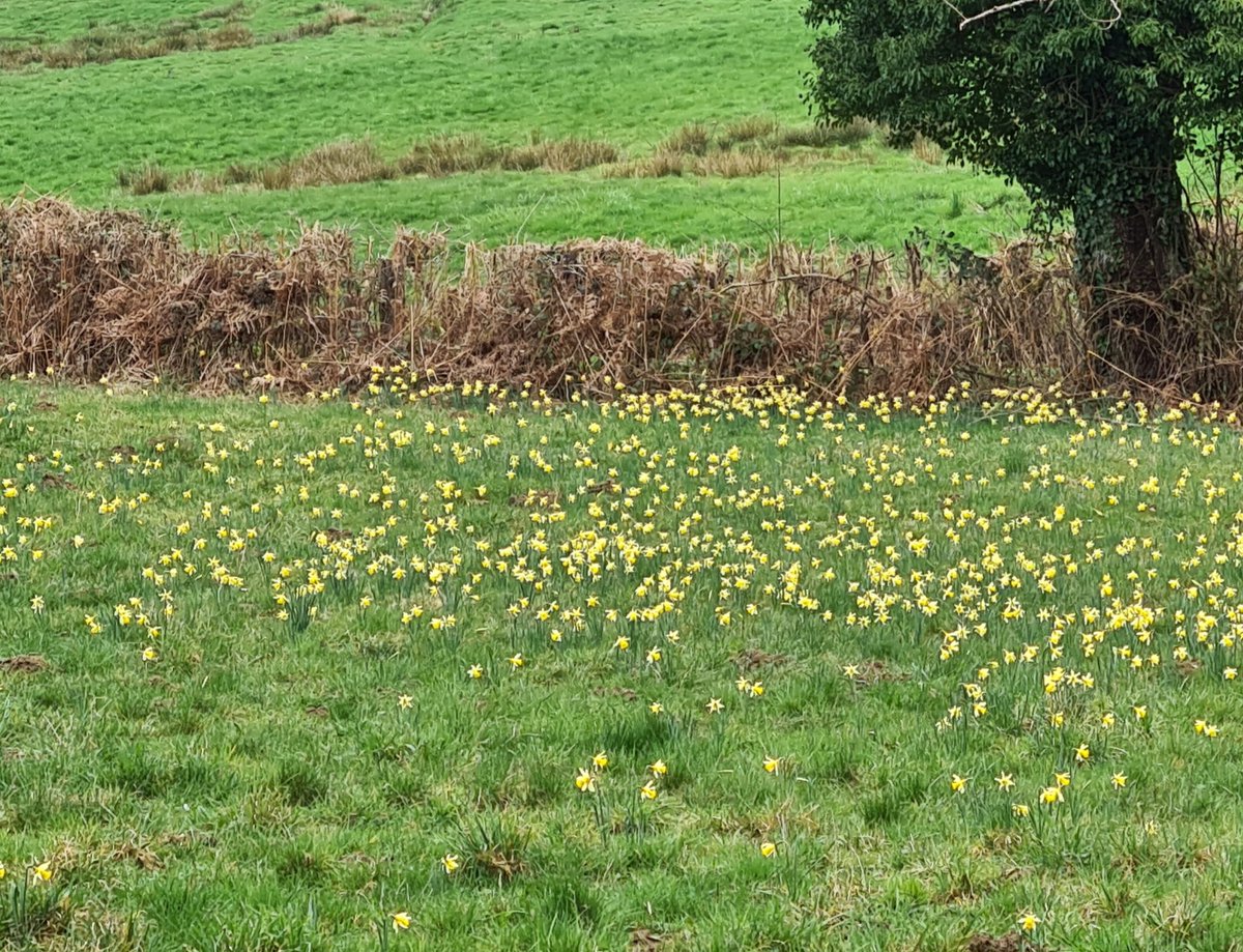 Anita van Leyden tweet media