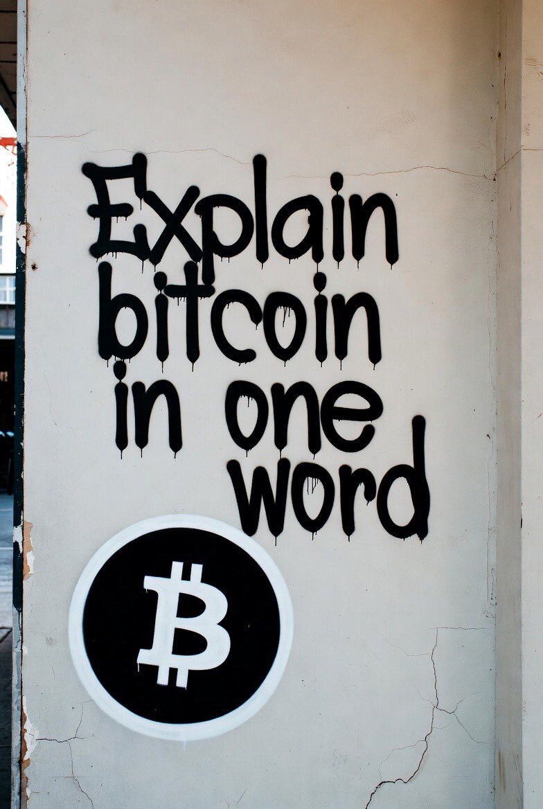 ⚔️The ₿itcoin Knight⚔️ tweet media