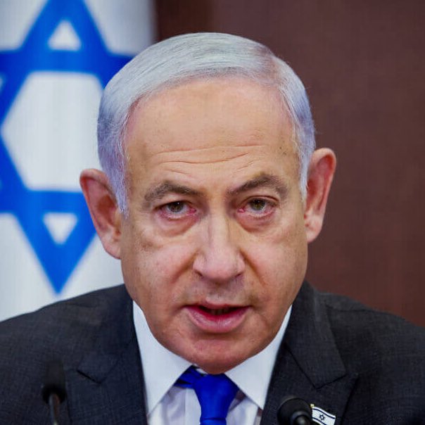 Whale Insider tweet media