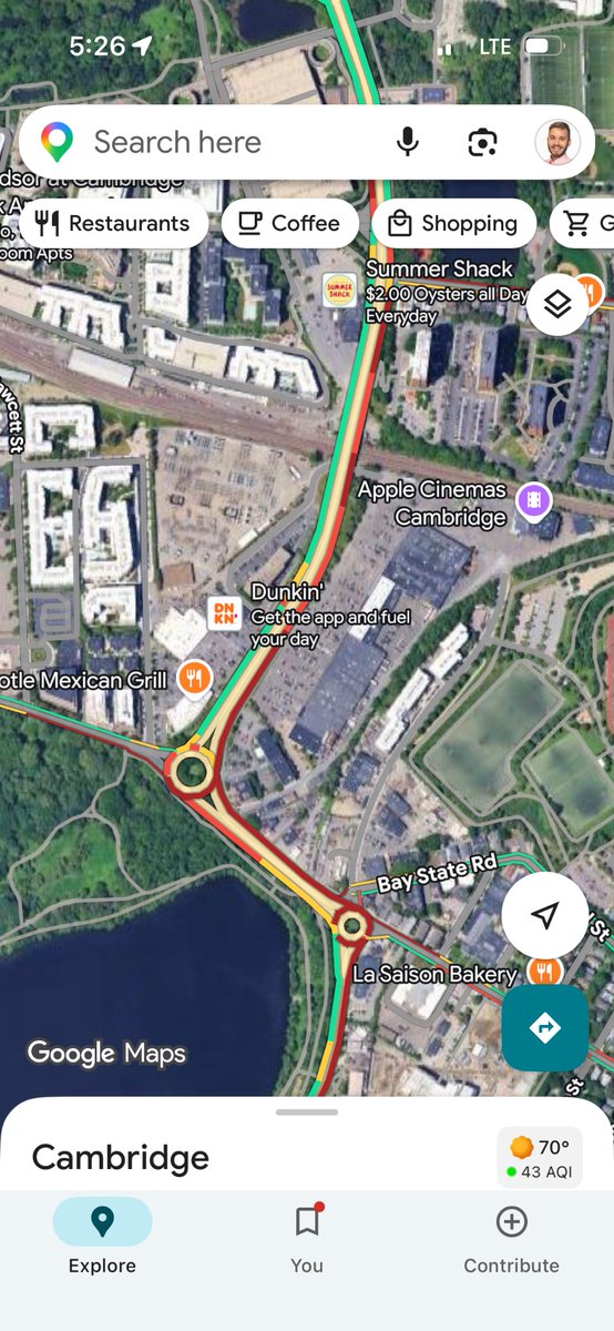 Paco 🇺🇸🇺🇸 🐕🦅🇮🇱 tweet media