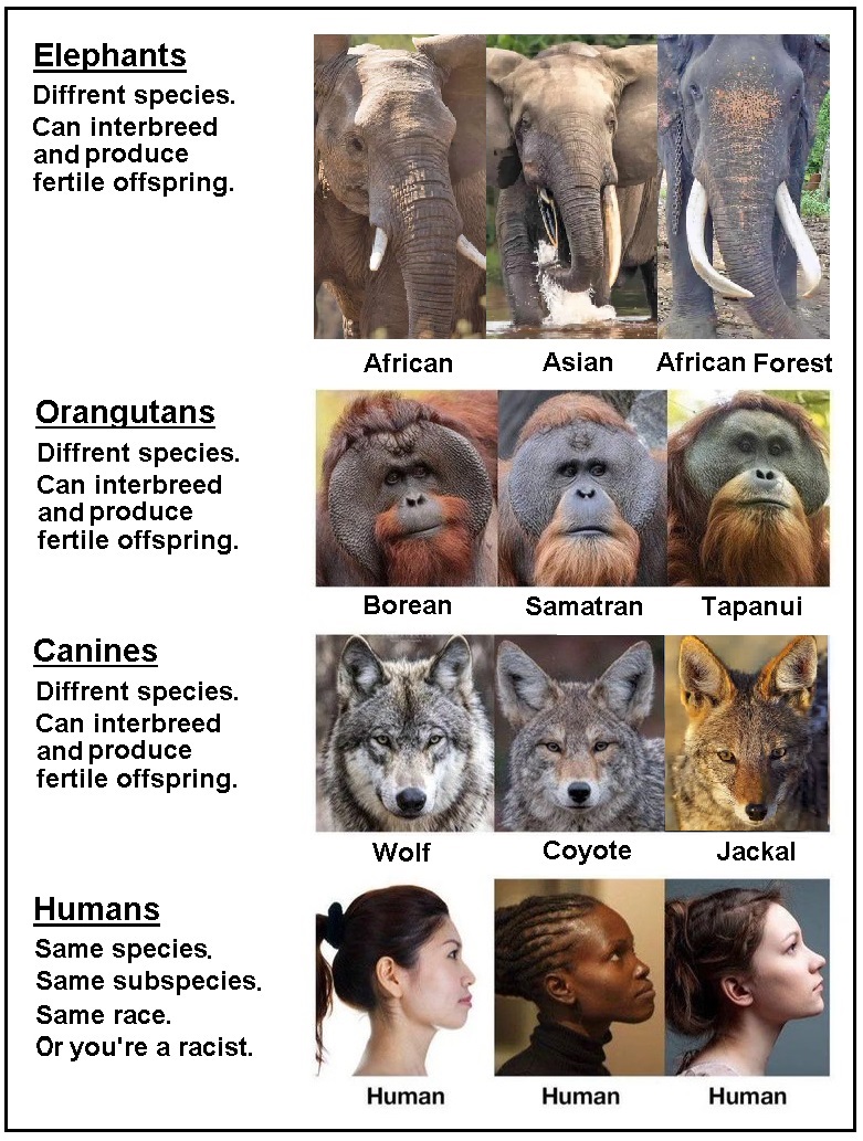 Greg Delaney tweet media