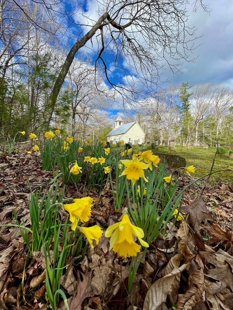 Visit Sevierville tweet media