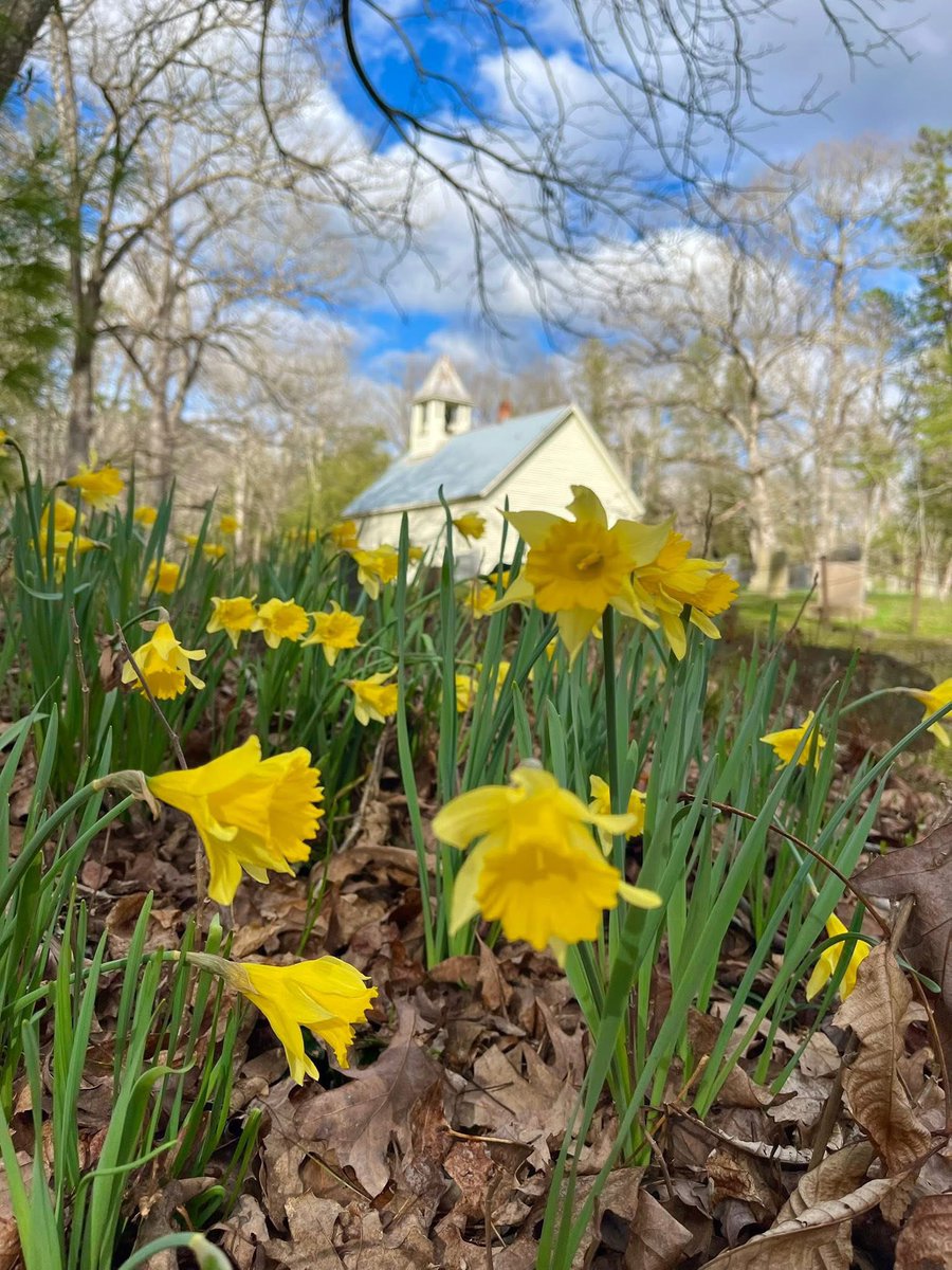 Visit Sevierville tweet media