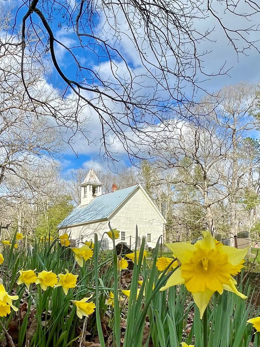 Visit Sevierville tweet media