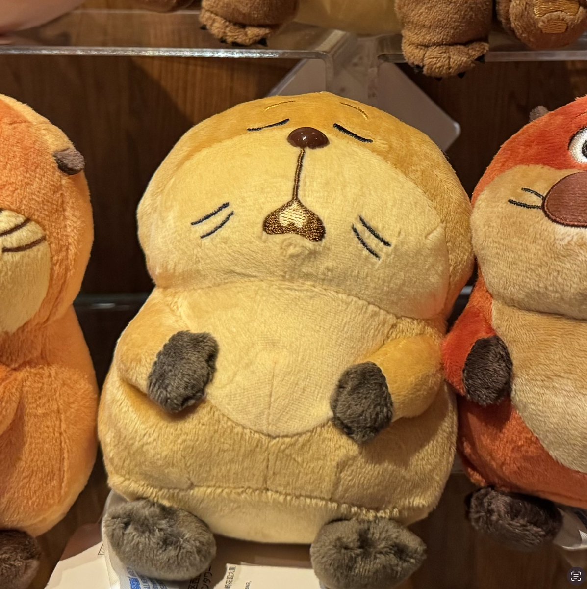 Daniel Chong tweet media