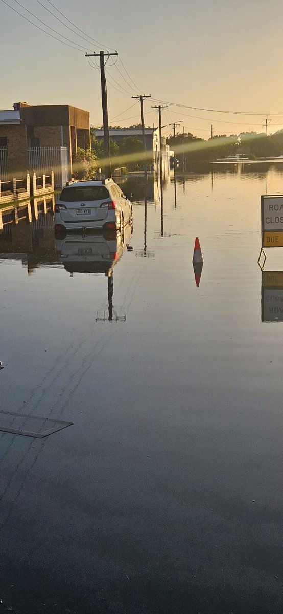 Steven Miles tweet media