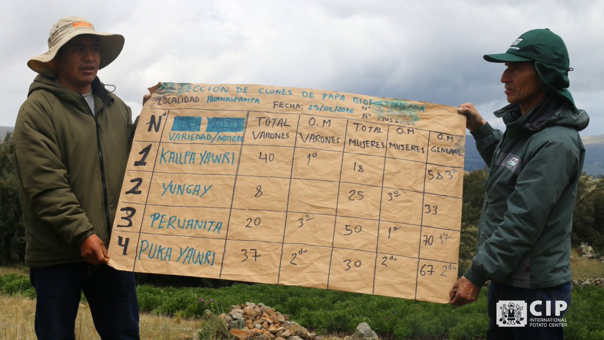 International Potato Center tweet media