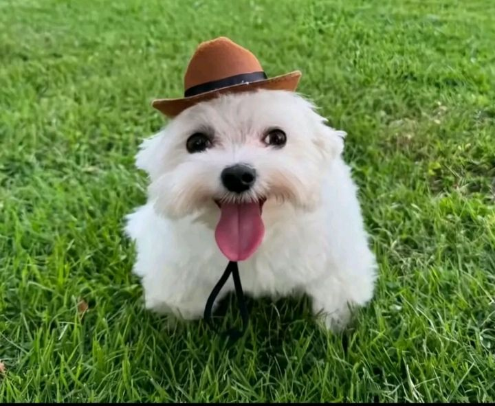 🔞SomeSpanart🔞 tweet media