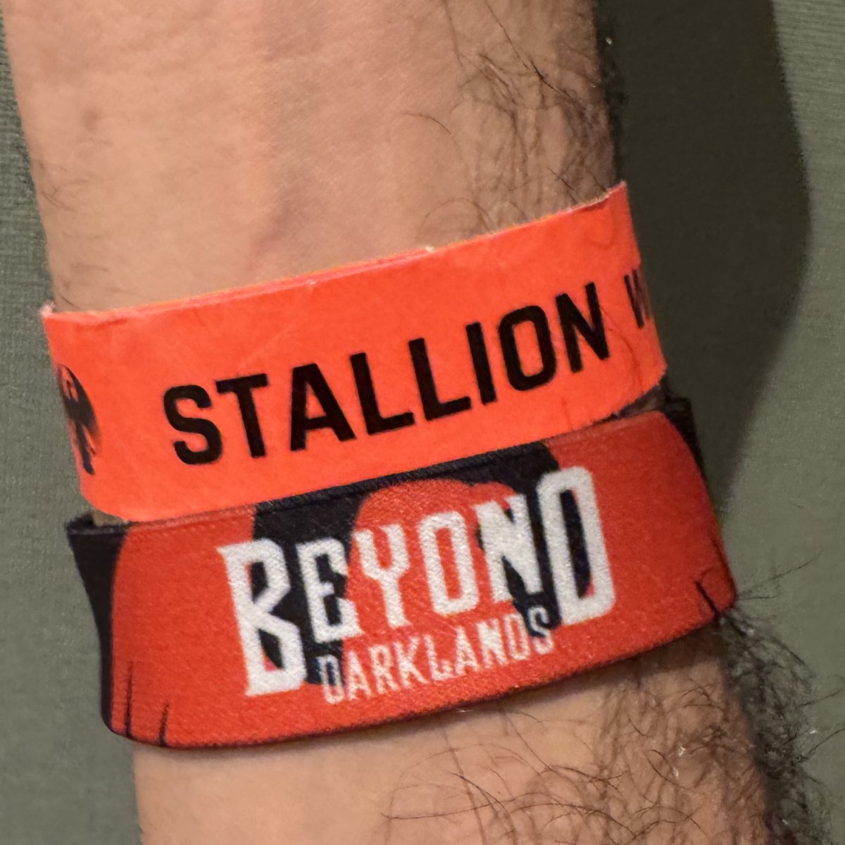 Dog Hand Puppet tweet media