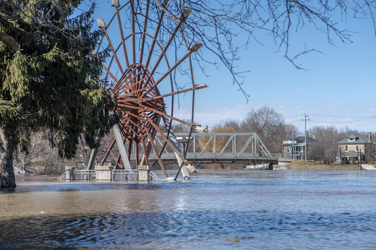 Gabriel Shepherd tweet media