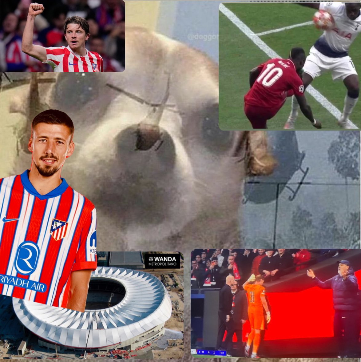 no context tottenham tweet media