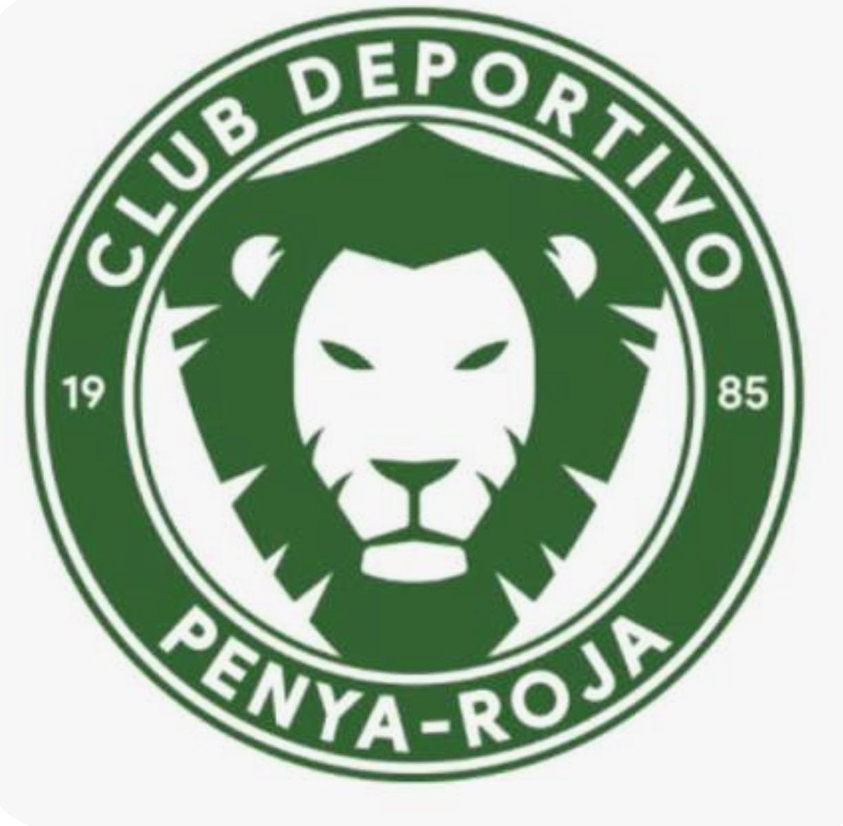 BasketScout by RG9 tweet media