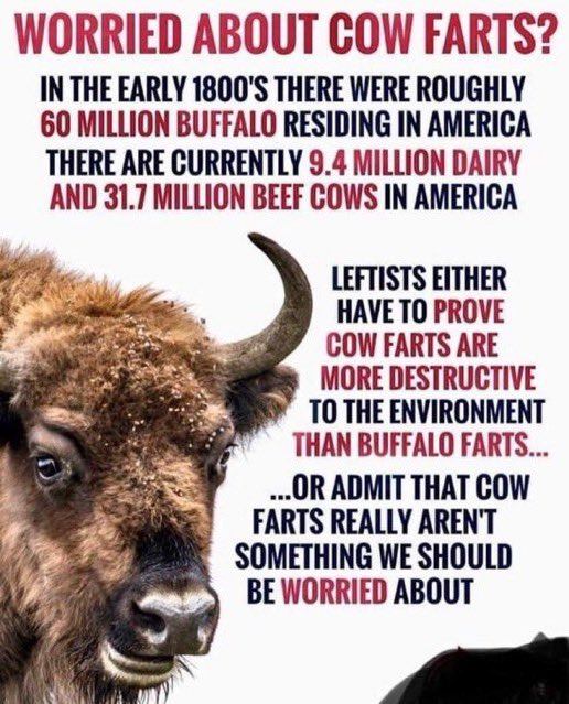 Nigel Owens MBE tweet media