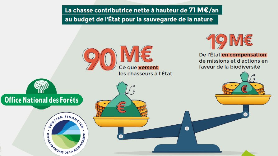 Papa chasseur tweet media