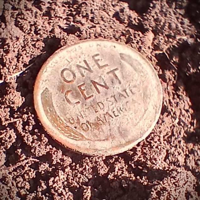 Digging Canuck "X" tweet media