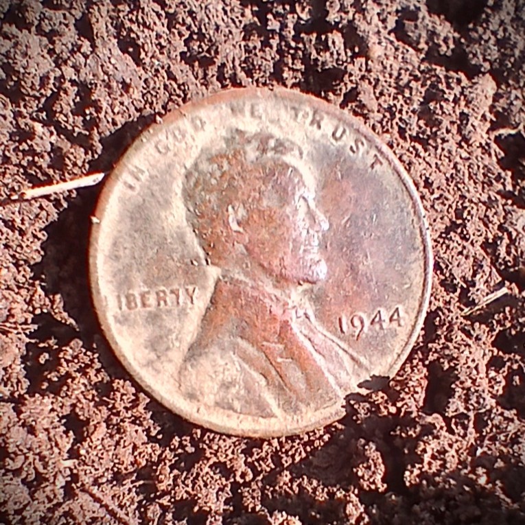 Digging Canuck "X" tweet media