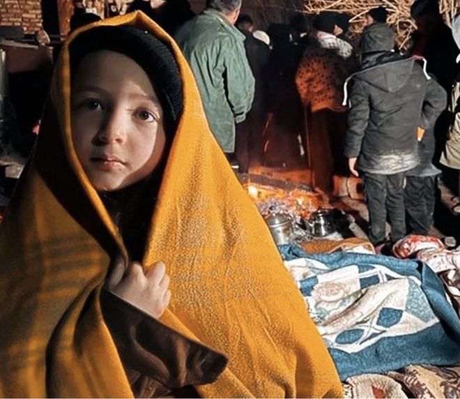 چیتا tweet media