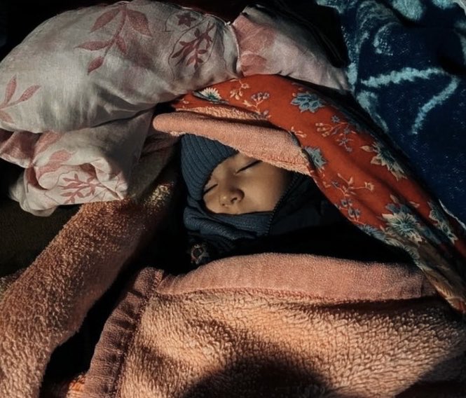 چیتا tweet media